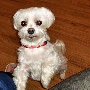 Meet your Posher, Judy